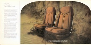 1970 Ford Thunderbird Mailer-04-05.jpg